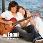 10-02-2010 - sperber - die_engel - So wie Du bist - Cover.jpg